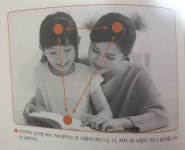 [알라딘서재]초등 6년 공부, 하브루타로 완성하라