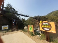 [알라딘서재]충주 수주팔봉의 아기자기한 멋 충주 수주팔봉의 아기자기한 멋