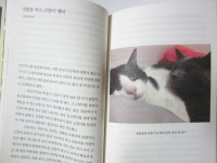 [알라딘서재]너와 나.. 묘연이라는 이름 아래서.. 너와 나.. 묘연이라는 이름 아래서..