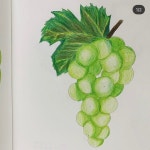 [알라딘서재]더 쉬운 보타니컬 아트 컬러링북 : 꽃과 열매 편 더 쉬운 보타니컬 아트 컬러링북 : 꽃과 열매 편