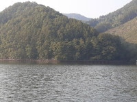 [하루살이] : 알라딘