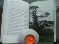 [알라딘서재]내 마음의 들꽃 산책 내 마음의 들꽃 산책