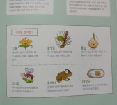 [알라딘서재]최신 개정 교과서 완벽하게 반영된 용선생의 시끌벅적 과학교실과 함께 과학개념 확실히 잡기 ﻿최신 개정 교과서 완벽하게 반영된... 