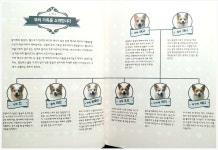[알라딘서재]8코기네 8코기네
