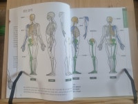 [알라딘서재]스케치로 배우는 미술해부학 스케치로 배우는 미술해부학