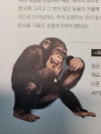 [알라딘서재]은근히 재미있는 과학책 은근히 재미있는 과학책