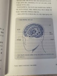 [알라딘서재]두뇌성격이 아이 미래를 결정한다