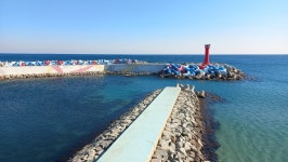 [알라딘서재]영덕 대게도 맛보고 겨울바다도 거닐고 영덕 대게도 맛보고 겨울바다도 거닐고