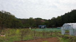 [무심 이병욱의 문학산책] : 알라딘