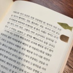 [알라딘서재](프랑스소설) 마음의 푸른 상흔 (프랑스소설) 마음의 푸른 상흔