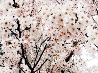 [서니데이님의 서재] 책과 통하는 블로그, 알라딘 서재!