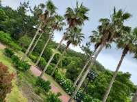 [알라딘서재]<어떤날의기록> 6월의 제주도 여행 <어떤날의기록> 6월의 제주도 여행