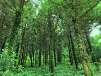 [알라딘서재]<어떤날의기록> 6월의 제주도 여행 <어떤날의기록> 6월의 제주도 여행