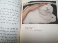 [알라딘서재]동물들에게 권리가 있는 이유 동물들에게 권리가 있는 이유