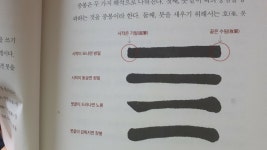 [알라딘서재]붓으로 배우는 캘리그라피 붓으로 배우는 캘리그라피