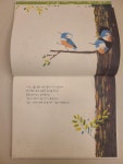 [알라딘서재]대교북스 주니어 《간다아아!》, 코리 R. 테이버 대교북스 주니어 《간다아아!》, 코리 R. 테이버