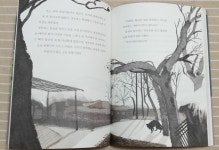 [알라딘서재]장화홍련전 장화홍련전