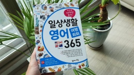 [알라딘서재]일상생활 영어 여행회화 365 일상생활 영어 여행회화 365
