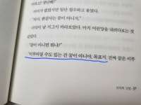 [알라딘서재]비룡소: 윤해연 단편집 - 녀석의 깃털