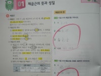 [알라딘서재]수학마스터 유형 베타 중학수학 3-1 중학수학의첫유형학습 수학마스터 유형 베타 중학수학 3-1 중학수학의첫유형학습