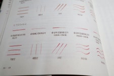 [알라딘서재]람지 <람지의 처음 시작하는 색연필 일러스트 4000>