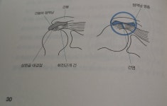 [알라딘서재]어깨, 허리, 무릎 등의 통증을 없애는 자세 교정과 바른 자세 어깨, 허리, 무릎 등의 통증을 없애는 자세 교정과 바른 자세