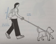 [알라딘서재]어깨, 허리, 무릎 등의 통증을 없애는 자세 교정과 바른 자세 어깨, 허리, 무릎 등의 통증을 없애는 자세 교정과 바른 자세