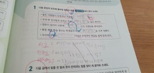 [알라딘서재]초등독해 빠작 비문학 배경지식 넓히는덴 최고 초등독해 빠작 비문학 배경지식 넓히는덴 최고