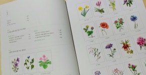 [알라딘서재][서평]더 쉬운 보타니컬 아트 컬러링북 : 들꽃편 [서평]더 쉬운 보타니컬 아트 컬러링북 : 들꽃편