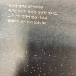 [알라딘서재]고양이 나라 이야기