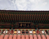 [찔레꽃] : 알라딘