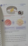 [알라딘서재]양자의 시대, 양자역학은 필수! 양자의 시대, 양자역학은 필수!