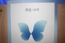 [알라딘서재][똑똑한 도서소개] 미다스북스, 푸른 나비