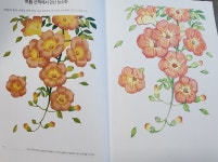 [알라딘서재]산책풍경 색연필 컬러링북 산책풍경 색연필 컬러링북