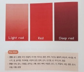 [알라딘서재]퍼펙트 컬러타로_내 마음을 읽어봐