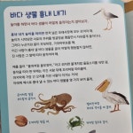[알라딘서재][마이리뷰] 어메이징 자연 탐험 2 : 바닷가