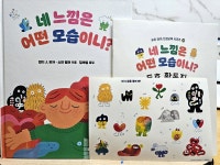 [알라딘서재]네 느낌은 어떤 모습이니 / 불광출판사 네 느낌은 어떤 모습이니 / 불광출판사