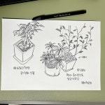 [알라딘서재][마이리뷰] 펜과 종이만으로 일상드로잉 [마이리뷰] 펜과 종이만으로 일상드로잉