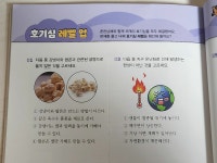 [알라딘서재]흔한 호기심으로 배우는 초등과학 흔한 호기심으로 배우는 초등과학