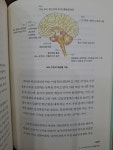 [알라딘서재][오늘의 한문장] 조선미의 초등생활 상담소