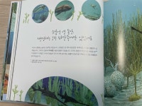 [알라딘서재]내가 먼저 지구에 살았어! 내가 먼저 지구에 살았어!