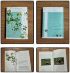 [알라딘서재]흙에 발 담그면 나도 나무가 될까 흙에 발 담그면 나도 나무가 될까