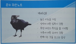 [알라딘서재]지니어스 IT 팁! 메타버스(metaverse) 3차... 지니어스 IT 팁!메타버스(metaverse) 3차...