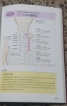 [알라딘서재]경락 경혈 치료 교과서 경락 경혈 치료 교과서