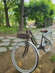 [알라딘서재]240517 자전거 타기, 배우는 중...🚲 자전...
