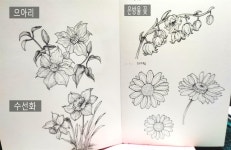 [댄스는 맨홀님의 서재] : 알라딘