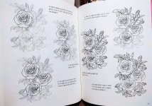 [알라딘서재]그림에 진심 보태니컬 펜 드로잉 그림에 진심 보태니컬 펜 드로잉