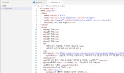 [알라딘서재]처음 코딩하는 사람이라면 꼭 선택해야합니다요 처음 코딩하는 사람이라면 꼭 선택해야합니다요