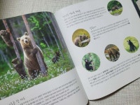 [알라딘서재]신비의 숲으로 놀러 올래? 신비의 숲으로 놀러 올래?