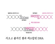 [알라딘서재]컴퓨터가 0과 1로 모든 정보를 표현하듯이, DNA는... 컴퓨터가 0과 1로 모든 정보를 표현하듯이, DNA는...